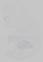 EMAGE:14789