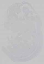 EMAGE:14792