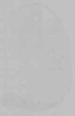 EMAGE:14793