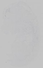 EMAGE:14814