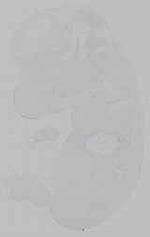 EMAGE:14818