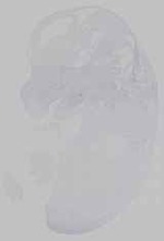 EMAGE:14822
