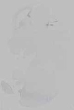 EMAGE:14825