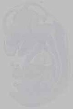 EMAGE:14834