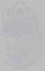 EMAGE:14834
