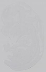 EMAGE:14838