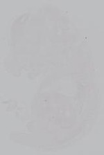 EMAGE:14860