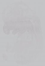 EMAGE:14861