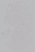 EMAGE:14871