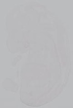 EMAGE:14882