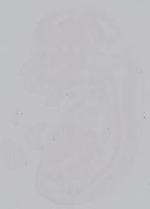 EMAGE:14883