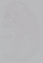 EMAGE:14885