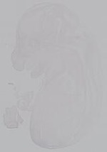 EMAGE:14885
