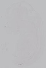EMAGE:14902