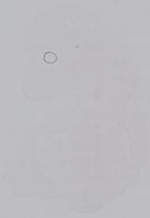EMAGE:14902