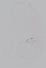EMAGE:14904