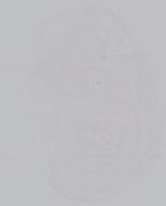 EMAGE:14927