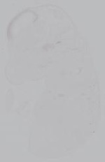 EMAGE:14931