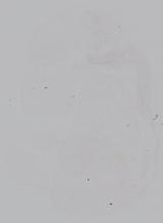 EMAGE:14932