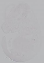 EMAGE:14932