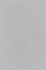 EMAGE:14934