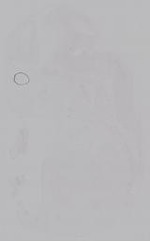 EMAGE:14937