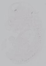 EMAGE:14942