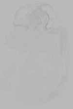 EMAGE:14952