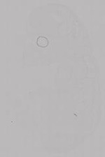 EMAGE:14953
