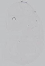 EMAGE:14959