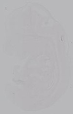 EMAGE:14961