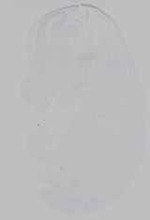 EMAGE:14964