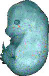 EMAGE:14970