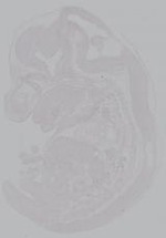 EMAGE:14970