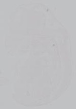 EMAGE:14976