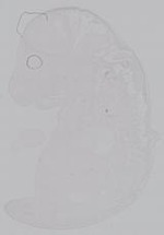 EMAGE:14987