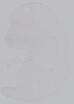 EMAGE:14987