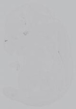 EMAGE:14999