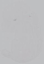 EMAGE:14999