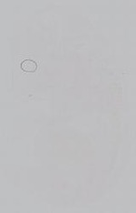 EMAGE:15007