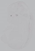 EMAGE:15011