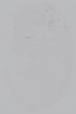 EMAGE:15011