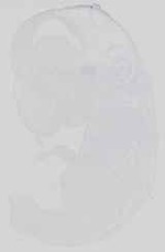 EMAGE:15048