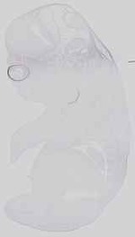 EMAGE:15058