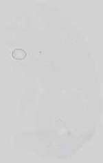 EMAGE:15058