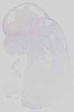 EMAGE:15058