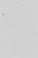 EMAGE:15058
