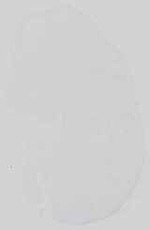 EMAGE:15058