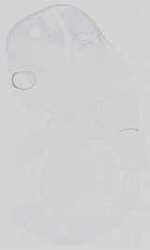 EMAGE:15059