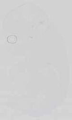 EMAGE:15059